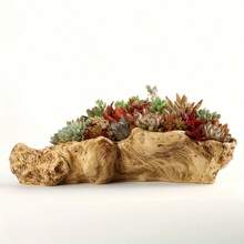 1pc Decorative Large Resin Wood Planter, Suitable For Succulents And Cacti - Creative ABS Material Arrangement Pot, Natural Wood Texture Surface, Perfect For Indoor Plant Display (Plants Not Included), Decorative Flower Pot | Textured Surface | Realistic Wood Finish - Multicolor - View 4