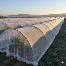 TendenciaTela Antiheladas Para Cultivos 15 X 2.1 Mts Ancho AgrotelaCalidad premium - 1 - Ver 9