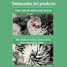 Christmas Trees - View 3