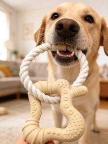 Pet Dog Chew Toy, 5-Pointed Star Shaped Rubber Teething Toy, Stress Relief Toy For Dogs