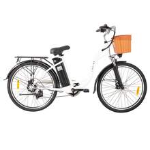 Electric Bicycles