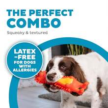Outward Hound Latex-Free Big Squeak Hedgehog Dog Toy - Nhiều màu - Xem 2