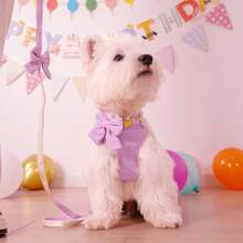 1 Set Velvet Bow Dog Collar & Leash Harness Set - Mauve Purple - View 3