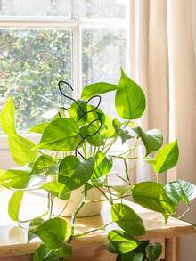 1Pc Plant Climbing Rack, Outdoor Potted Plant Support, Creative Flower Support, Vine Trellis, Plant Flower Holder - Multicolor - View 4