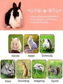 100g/200g/300g Apple Wood Pet Chew Sticks - Designed For Rabbits, Guinea Pigs And Hamsters, Natural Wooden Chew Toys, Coarse Wood Chew Treats To Promote Animal Oral Health - Multicolor - View 7