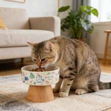 Ceramic Raised Pet Bowl For Cats And Dogs, Neck-Protecting Anti-Spill Graffiti Design Pet Supplies