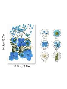 Fiori secchi per resina, fiori e foglie naturali compressi, fiori pressati sottovuoto fai-da-te per epossidica, gioielli, candele, sapone, unghie... - Multicolore - Visualizzare 12