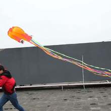 Juego al Aire Libre de Cometas Pulpo Lindo Suave Línea única Forma de Animal Cola Larga Colorida Increíble Cometa Colorida 4 Metros con línea de Cometa de 30 m para Regalo de niños,38968546 - D - Ver 6