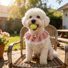 1 pezzo Bavaglino per animali domestici con bordo in pizzo fatto a mano/Papillon finto in perle - Stile principessa - Lunghezza regolabile - Collare per gatti Bavaglino per cani/Sciarpa per animali domestici/Bavaglino per sbavature per cani/Accessorio per animali domestici - Nuova collezione primavera - nero - Visualizzare 3