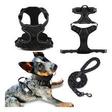 Reflective Clothing - 1 - View 2