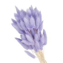 15.7in Bunny Tails Dried Flowers, 120pcs Pampas Grass Decor Rabbit Tail Natural Pampas Grass Bulk Fluffy Faux Pampas Grass Dried For Home Boho Decor Vase Wedding Table, Purple - Purple - 查看 2