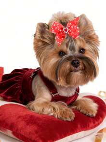 6/20pcs Valentine's Day Pet Bow Headbands - With Elastic Rubber Band, Fabric Heart Print Rhinestone Design, Adorable Pet Decor, Happy Puppy Costume, Pet Accessories, Holiday Party Photo Props, Suitable For Dogs & Cats - Multicolor - View 4