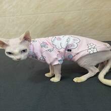 无毛斯芬克斯猫德文卷毛猫幼崽宠物猫可爱兔子软印花 - 粉色 - 查看 1