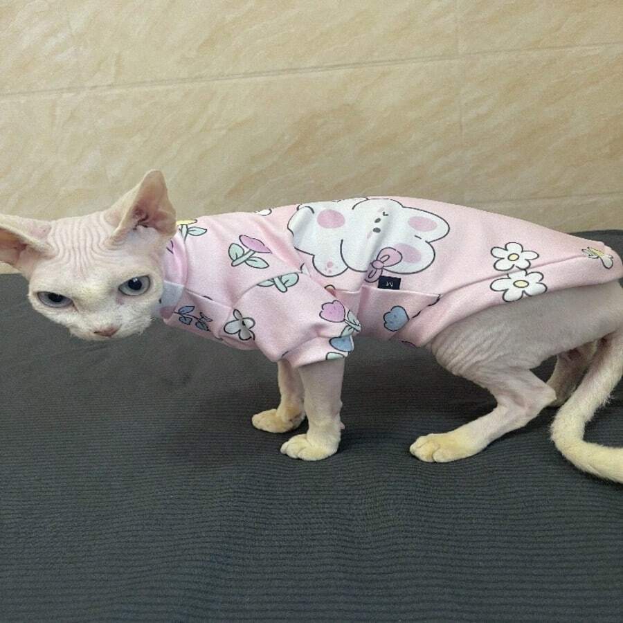 无毛斯芬克斯猫德文卷毛猫幼崽宠物猫可爱兔子软印花 - 粉色 - 查看 1