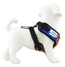 Outdoor Water Purifier