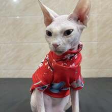 Sphynx Cat Clothes, Soft Fabric Red Butterfly Print, Festive For Autumn/Winter - Red - View 4