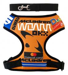 Outdoor Water Purifier