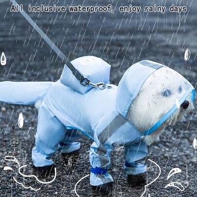 ARC ARCE Conjunto de correa extensible con impermeable para perros pequeños/medianos, adecuado para paseos al aire libre en días lluviosos