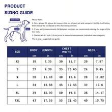 秋冬新款宠物狗猫衣服，奶油色贵宾犬泰迪比熊犬小型犬牵引绳羊毛连帽衫 - 粉色 - 查看 2