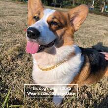 1件闪亮水钻13毫米狗项圈 - 几何图案锌合金双锁扣设计，经久耐用且易于清洁，适合小型至中型犬，几何图案项圈，耐用宠物配件 - 彩色 - 查看 10