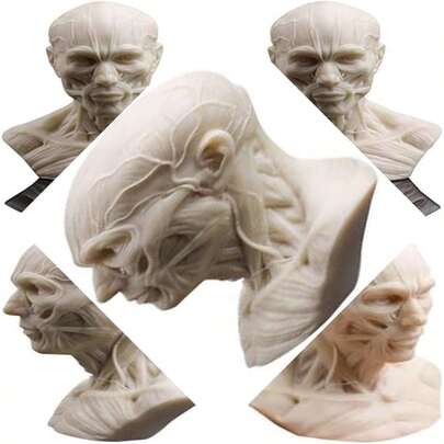 Resin Human Bust Sculpture For Artist Model And Decorative Purposes