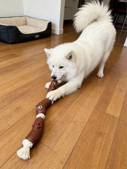 1pc/3pcs Funny Sausage Shaped Dog Chew Toys - Made Of TPR Material, Durable & Bite-Resistant, Pet Interactive, Top Choice For Dogs To Relieve Boredom