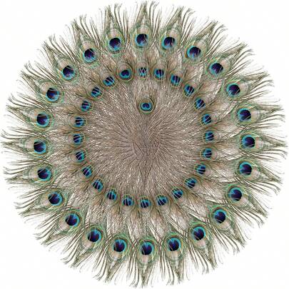 10 st konstgjorda påfågelfjäderdekorationer, lämpliga för heminredning eller blomsterarrangemang