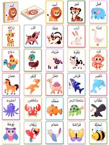 Bilingual Flashcards For Animals/Fruits/Vegetables/Body Parts, Arabic Vocabulary Learning Cards, English Animal Vocabulary Cards, Fruit & Vegetable Recognition Cards, School Learning Aids, Arabic-English Body Part Learning Cards, Suitable As Back-To-School Gifts, Early Learning Gifts - Color - View 7