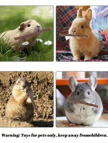 50克 100克 200克 苹果枝宠物磨牙玩具，15厘米柳枝，宠物咀嚼玩具，干柳枝咀嚼棒，适用于仓鼠、兔子和豚鼠，兔子用品，情人节礼物，生日礼物。 - 彩色 - 查看 5