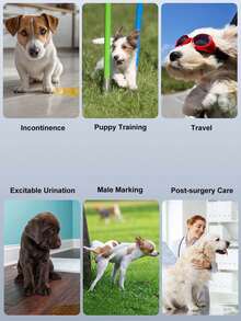 1件卡通印花可水洗可重复使用男狗尿布腹带 - 彩色 - 查看 2