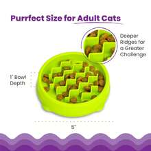Catstages Kitty Slow Feeder Bowl For Cats & Small Dogs, Puzzle Dish For Fast Eaters, For Wet Or Dry Food, Helps Slow Eating & Aid Digestion, Non-Slip, Made Without BPA, 3/4 Cup, 5-Inch, Green - 500ml - Xem 6