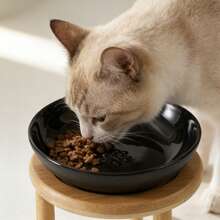 1pc Ceramic Cat/Dog Bowl With Raised Stand, Large Capacity Anti-Spill Pet Feeding Bowl