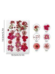 Fiori secchi per resina, fiori e foglie naturali compressi, fiori pressati sottovuoto fai-da-te per epossidica, gioielli, candele, sapone, unghie... - Multicolore - Visualizzare 4