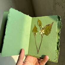 INS风格复古森林手工东巴纸日记本，植物装饰DIY笔记本，无植物空白页，适合学生练习、办公记录和旅行日记，完美礼物和独特纪念品 | 复古手工日记本，东巴纸笔记本，DIY植物装饰日记本，旅行日记礼物 - 綠色 - 查看 3