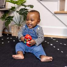 Baby Einstein Roxys Bright Flight - Juguete musical para bebé y mordedor, reproduce sonidos reales de pájaros con más de 10 melodías, multisensoriales, edades a partir de 3 meses,38965305 - Albaricoque - Ver 5