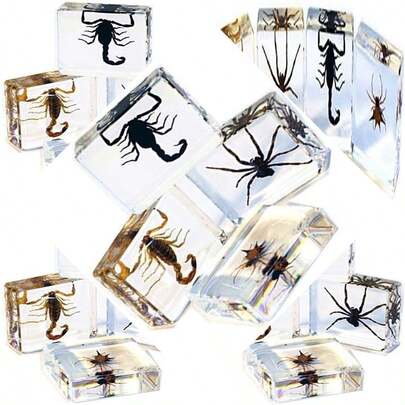 Desktop Decor Scorpion & Spider Paperweight Set, Unique And Eye-Catching