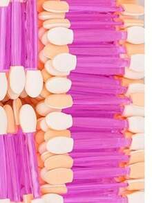 100/50pcs Nail Sponge Stick Double-Sided Sponge Brush Ombre Nail Art Brush, Disposable Double-Ended Eyeshadow Brush, Makeup Tools, Nail Art Tools, With Storage Box - Multicolor - View 8