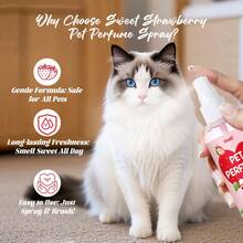 甜美草莓宠物香水喷雾 - 持久怡人香氛，适用于犬猫，让您的爱宠散发可爱快乐的迷人香气 - 甜草莓口味 - 查看 6