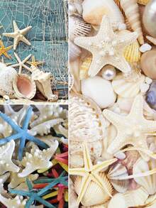 Ten Natural Five- Starfish Shells, Sold In Bulk. Suitable For DIY Crafts For Aquariums, Christmas, And Other Occasions, As Well As Nautical-Themed Beach Parties And Home Wedding Decorations. Available In Two Sizes. - Multicolor - View 7
