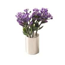 1:12比例12件套迷你盆栽植物，适用于娃娃屋、立体模型、模型车，逼真仿真花卉装饰