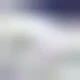 Bạc