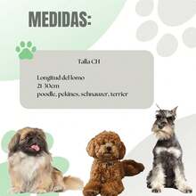 TendenciaFaja Postoperatoria Para Perros Y Gatos Tallas ChicasCalidad premium - XCH - Ver 7