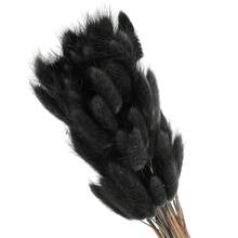 15.7in Bunny Tails Dried Flowers, 120pcs Pampas Grass Decor Rabbit Tail Natural Pampas Grass Bulk Fluffy Faux Pampas Grass Dried For Home Boho Decor Vase Wedding Table, Black - 黑色的 - 查看 1