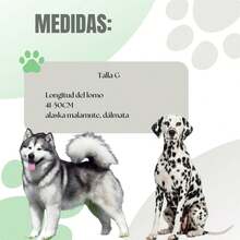 TendenciaFaja Postoperatoria Para Perros Y Gatos Tallas ChicasCalidad premium - XCH - Ver 9