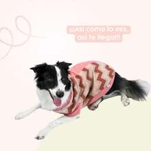 High-Visibility Pants