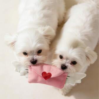 Hollypet 1 stuk roze hartvormige pluche piephondpop in envelopvorm, pop die eten verstopt, huisdierbenodigdheden voor honden en katten, leuk cadeau