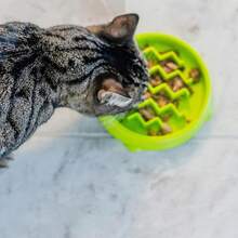 Catstages Kitty Slow Feeder Bowl For Cats & Small Dogs, Puzzle Dish For Fast Eaters, For Wet Or Dry Food, Helps Slow Eating & Aid Digestion, Non-Slip, Made Without BPA, 3/4 Cup, 5-Inch, Green - 500ml - Xem 1