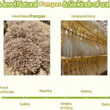 67pcs Dried Pampas Grass Bouquet - White, Brown And Pink Pampas, Bohemian Home Decor - Ideal For Indoor And Outdoor Use, Perfect For Valentine's Day, Easter, Mother's Day, Weddings, Outdoor Gardens, Spring Dining Table Centerpiece