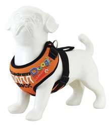 Outdoor Water Purifier