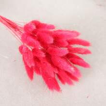 29/58pcs Set Of Dried Flowers Featuring Purple Bunny Tail Pampas, Perfect For Boho-Style Decor In Living Rooms, Gardens, And Outdoor Spaces. Ideal For Arrangements, Wedding Parties, And Festive Gifts Spring Valentine's Day Mother's Day Wedding Decor - Red - View 8